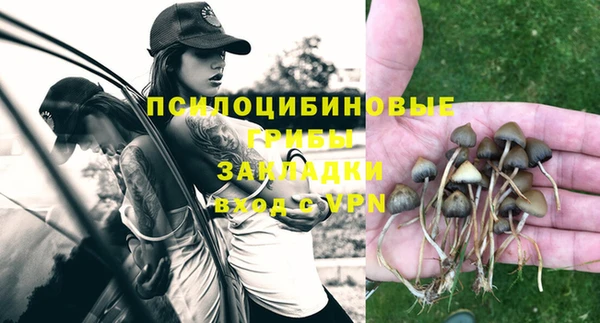 Альфа ПВП Балахна