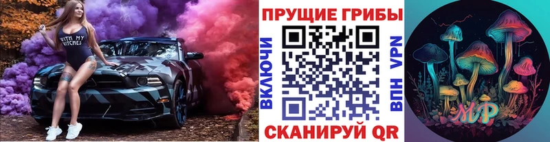 Псилоцибиновые грибы GOLDEN TEACHER  Красный Холм 